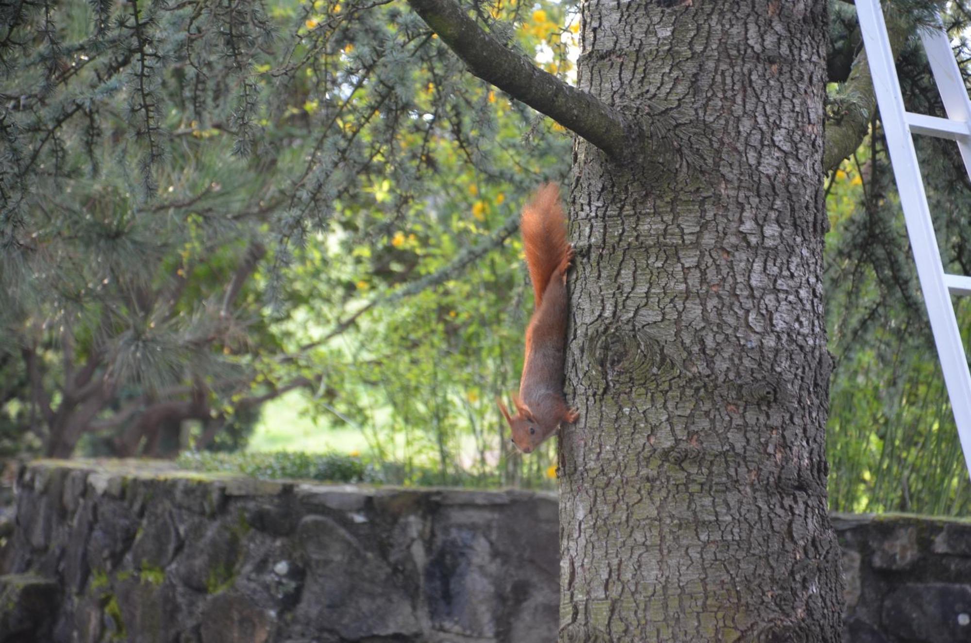 Domaine Insolite Du Petit Moras Chomérac Esterno foto